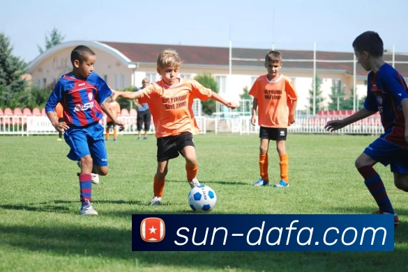 大发彩票平台生态图